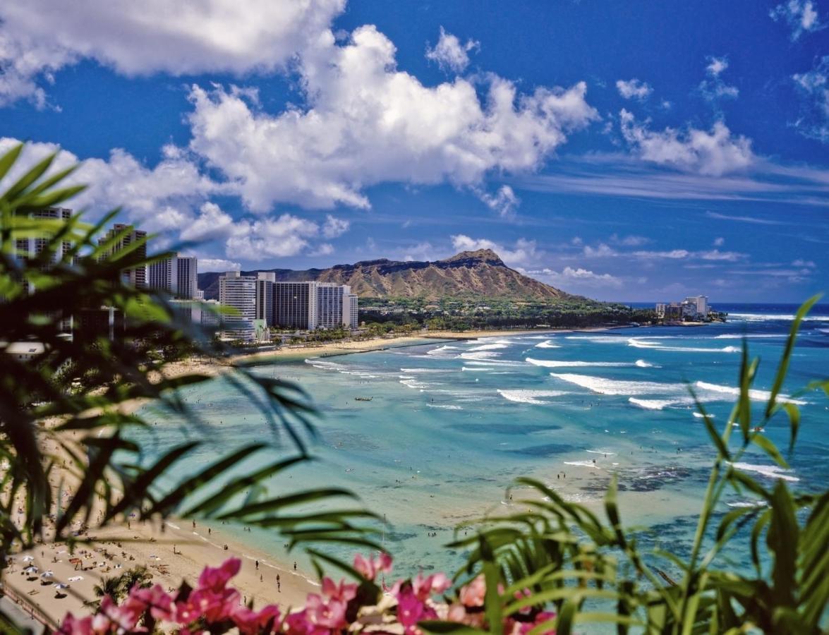 Kuhio Village 806 ホノルル エクステリア 写真