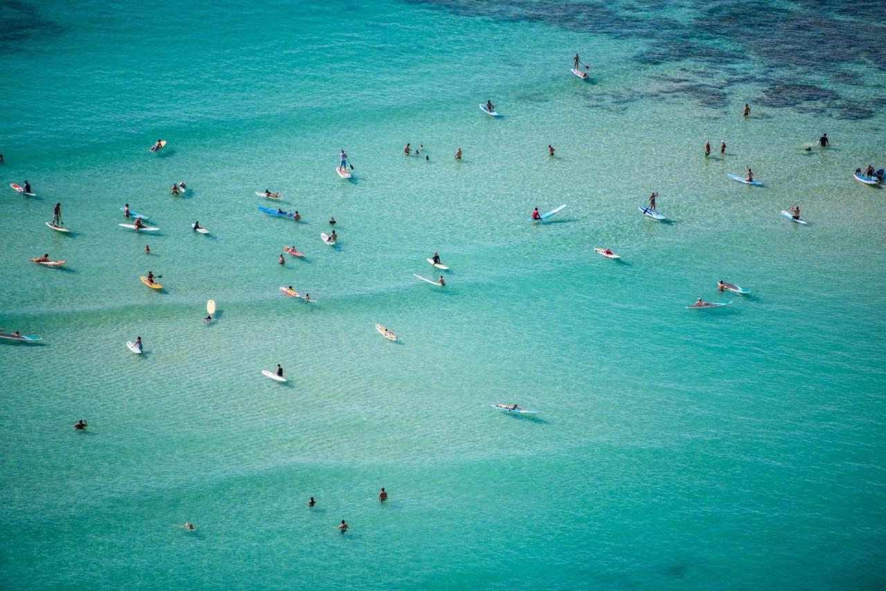 Kuhio Village 806 ホノルル エクステリア 写真